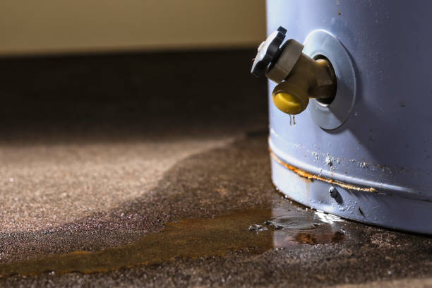 Best Mold removal after water damage  in Liberty Hill, TX