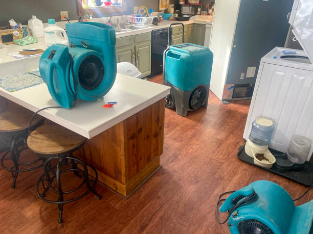 Best Water damage restoration specialists  in Liberty Hill, TX