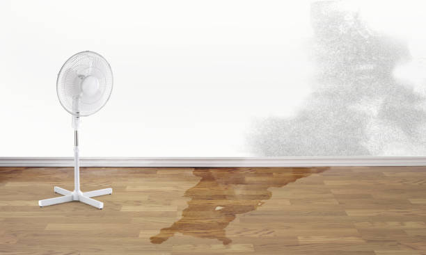 Best Local water damage restoration  in Liberty Hill, TX