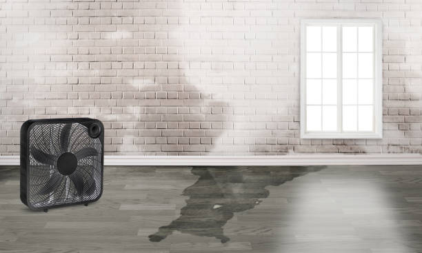 Best Flood damage cleanup  in Liberty Hill, TX