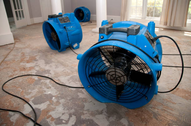 Best Fire Damage Restoration  in Liberty Hill, TX