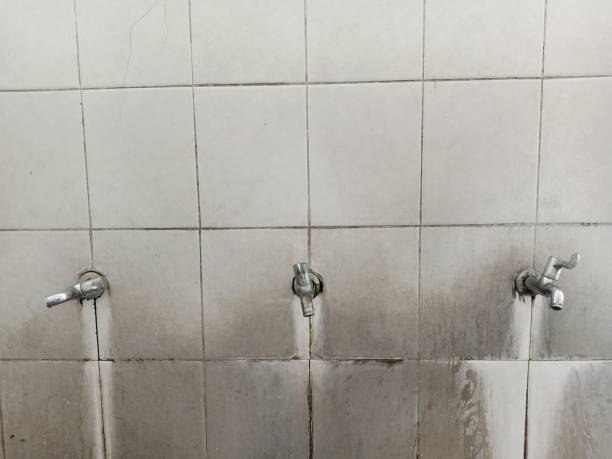 Best Professional water damage repair  in Liberty Hill, TX